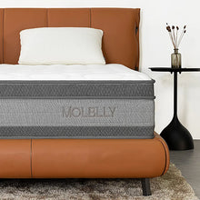 Load image into Gallery viewer, QUEEN Molblly 12 Inch MEDIUM Cooling Gel Multilayer Hybrid Mattress