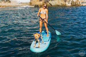 Peak All Around Inflatable Stand Up Paddle Board Package | 10'6" Long x 32" Wide x 6" Thick | Durable and Lightweight SUP | Stable Wide Stance