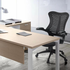 Doreane Mid Back Ergonomic Mesh Task Chair